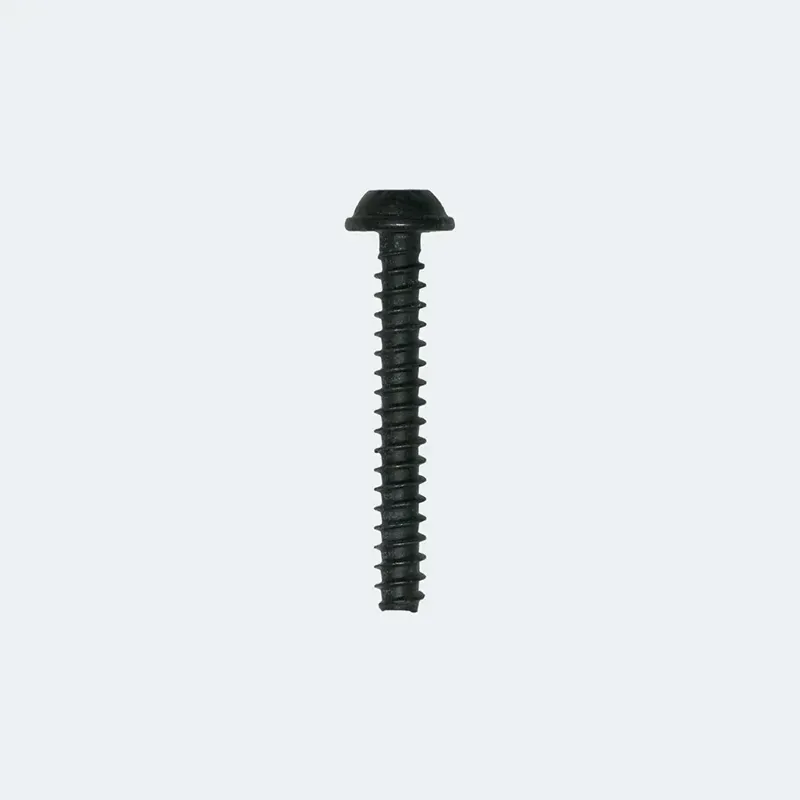 Fazua Ride 60 LED Hub Retainer Hook Screw in Black