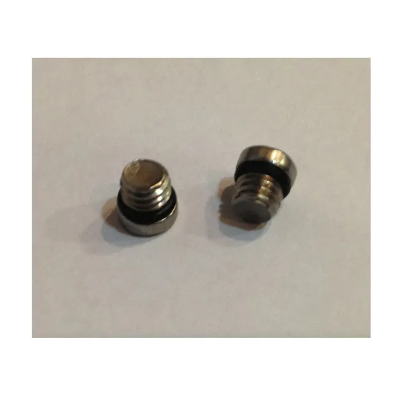 Avid Reservoir Bleed Screws/O-Rings in Silver
