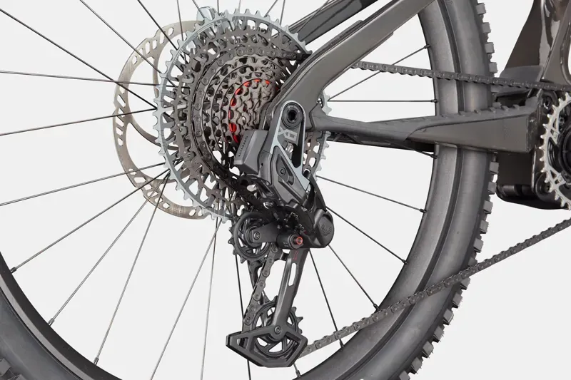 Cannondale Moterra SL 1 Carbon Electric Mountain Bike in Raw-6