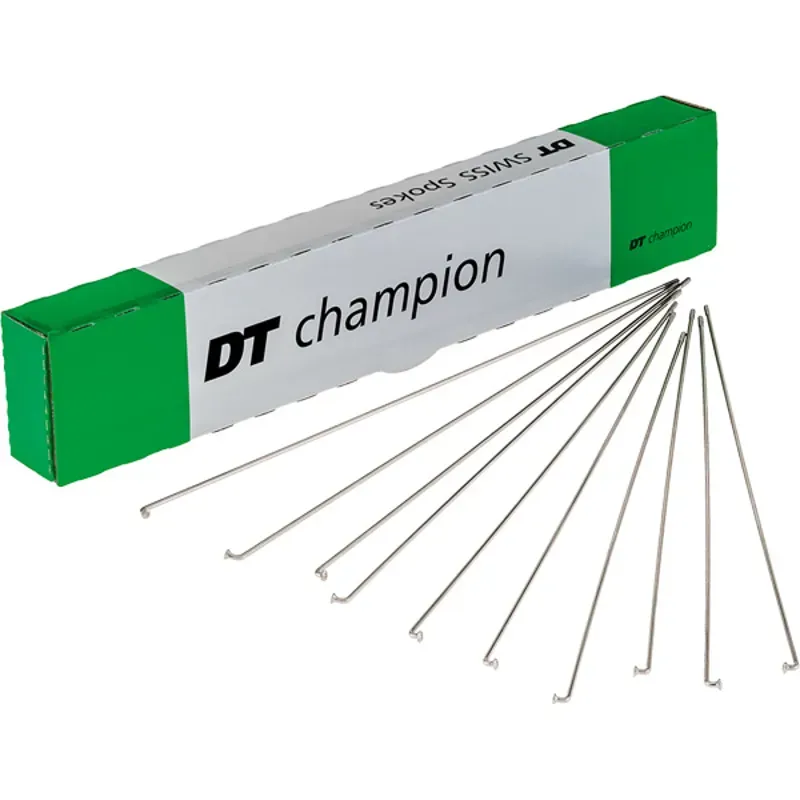 DT Swiss Champion 100-pack Silver Spokes - 2x269mm
