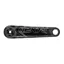 Race Face Next R Crank Arms in Black