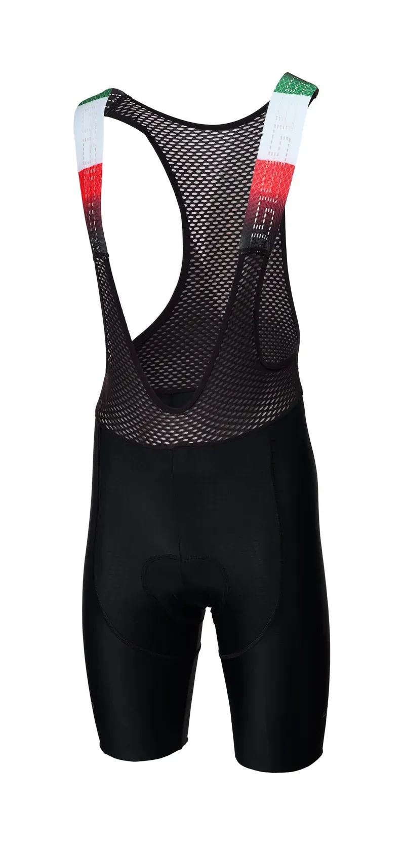 Colnago bib 2025 shorts