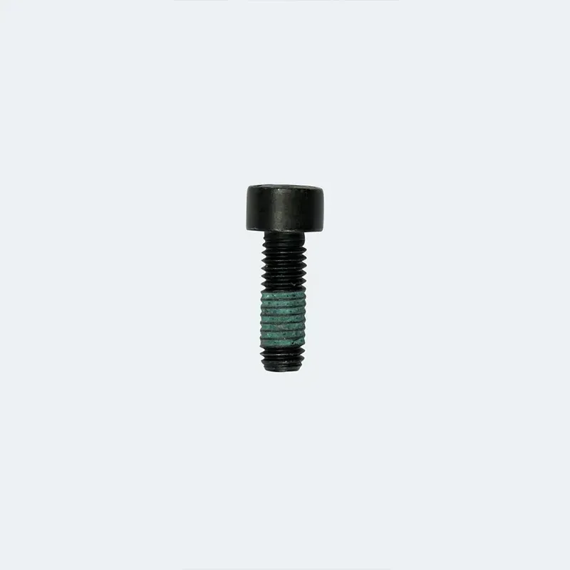 Fazua Ride 60 Drive Unit Mount Screw in Black