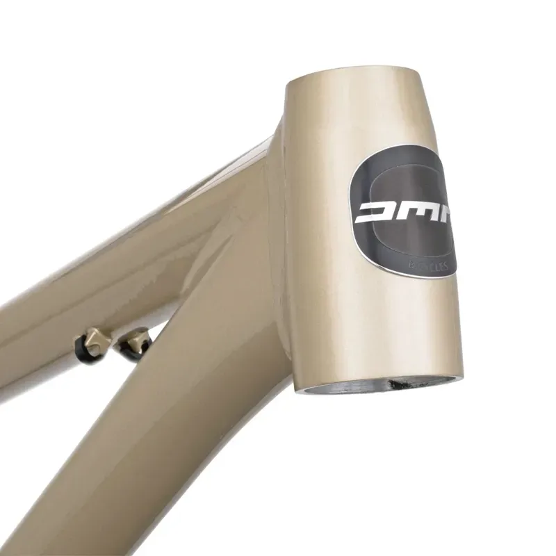 DMR Rhythm Frame in Sola Gold-5