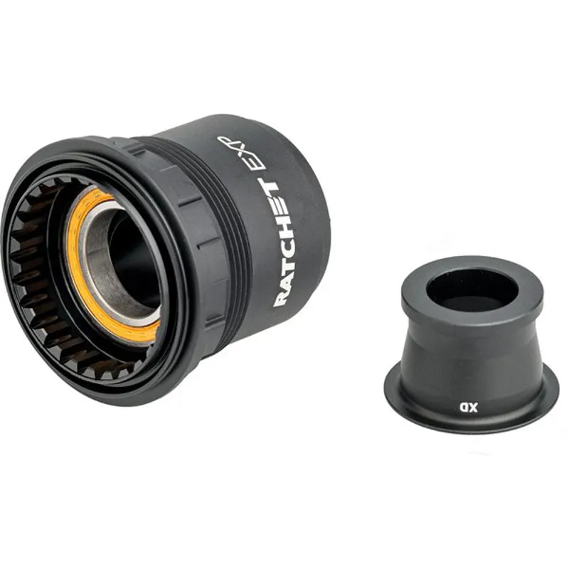 DT Swiss Ratchet EXP Freehub Conversion Kit w/SiNC Ceramic Bearings in Black-1