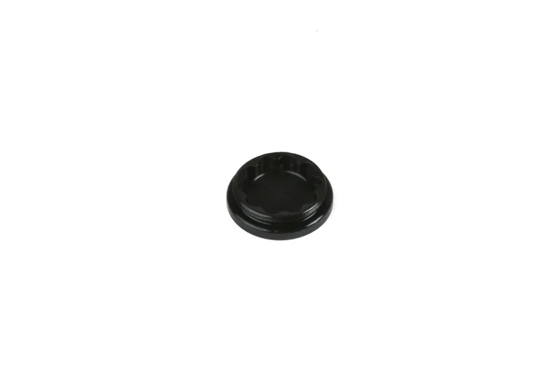 Hope V2 Caliper Bore Cap in Black