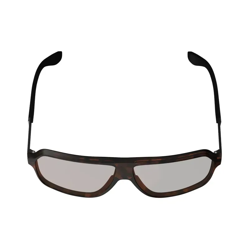 Leatt TheViz Andes Polazied Sunglasses in Brown-4