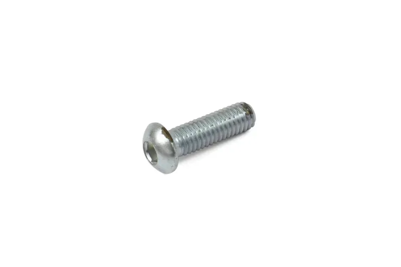 Hope M6x20mm Dome Head Screw Stainless Steel in Silver