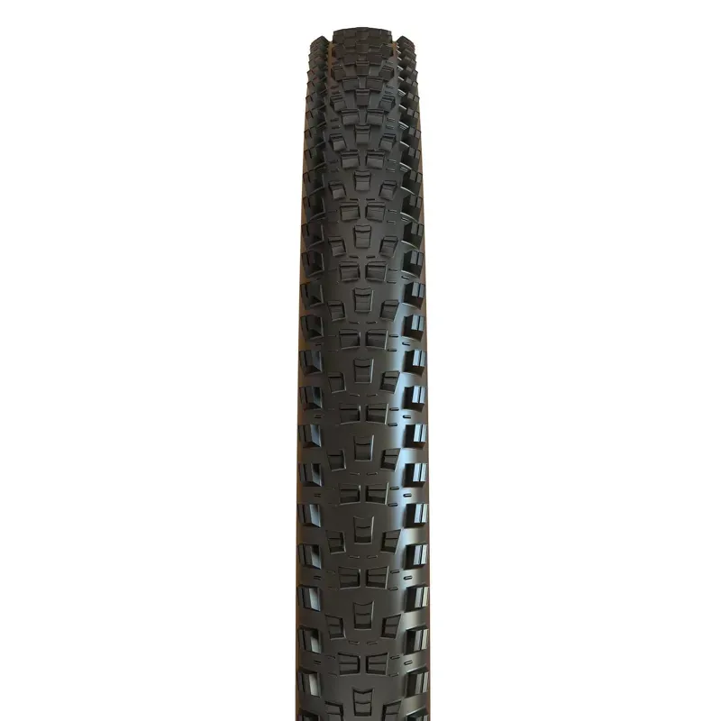 Maxxis Forekaster Fld. 3C MaxxTerra EXO+ TR 29x2.40-inch eBike Tyre-1