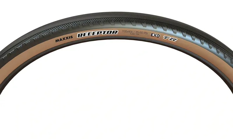 TYRE Maxxis Receptor 650x47B Tan Brown 650 x 47b 120tpi folding exo-1