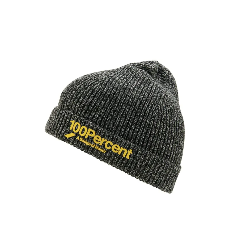 100% Echo Beanie in Grey