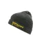 100% Echo Beanie in Grey