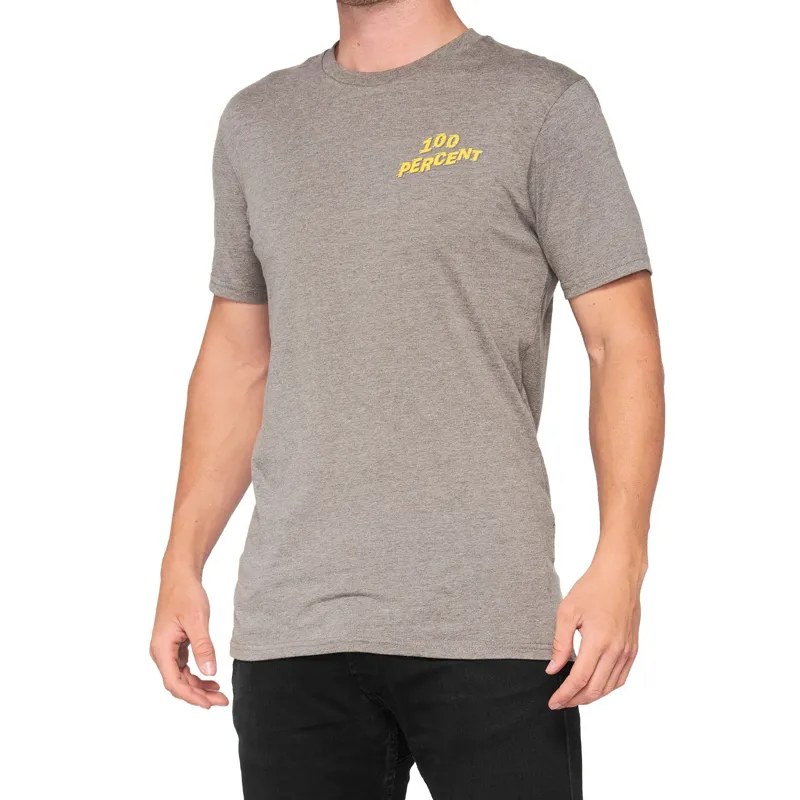 100 percent Dakota T-Shirt Heather Grey
