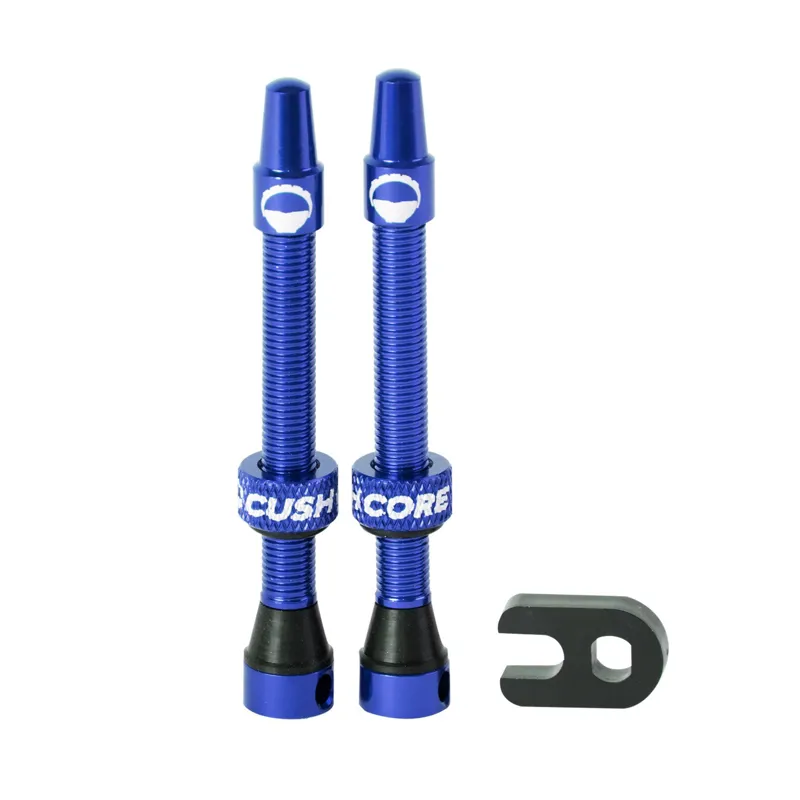 CushCore Tubeless Valves-2