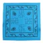 Yeti Bandana in Blue