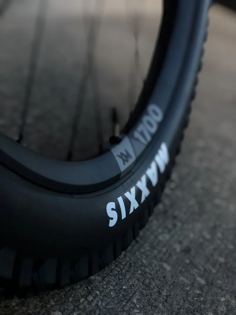 Pivot Cycles Firebird 29 Pro XT XTR Air Silver Sunset-4