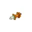 Hope Pro 4 36H 135mm - 12mm Rear Hub in Orange