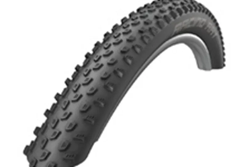 Schwalbe Racing Ray Performance 29 x 2.25 Dual Compound, Folding Tl-1