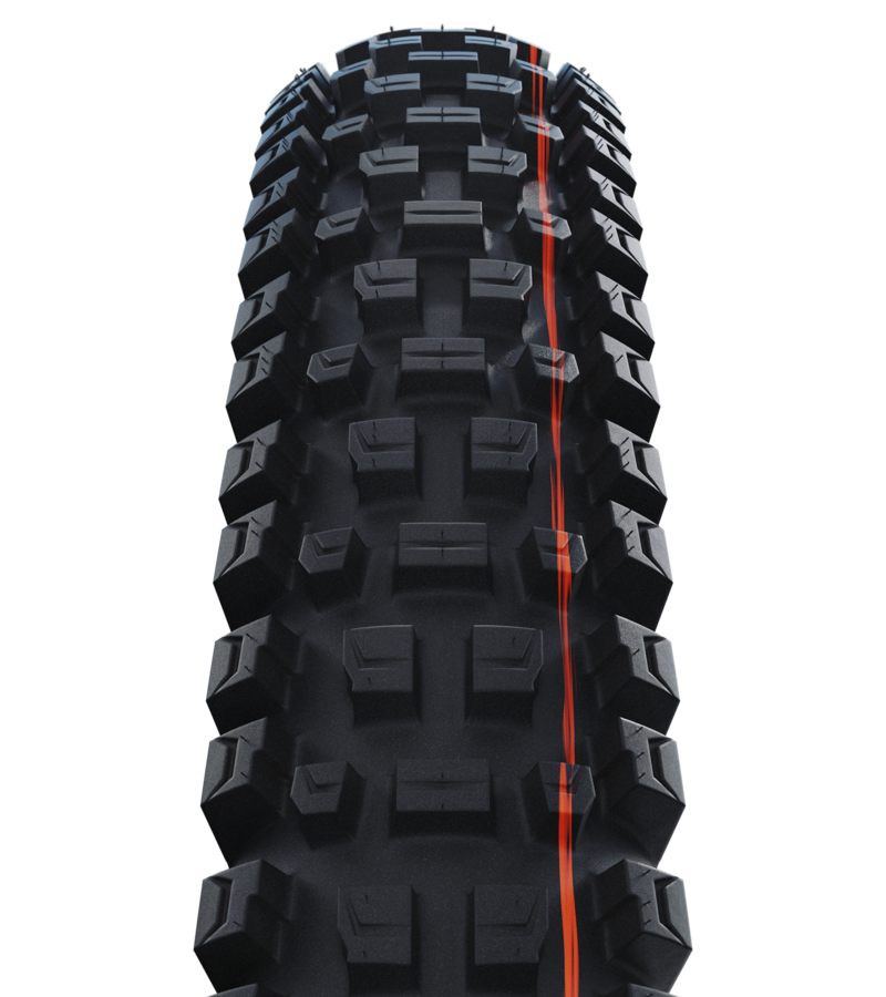Albert Trail Pro 29 Black 29x2.50 downhill-3