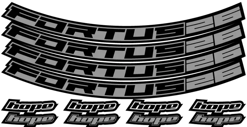 Hope Fortus Decal 26-27.25 in Silver