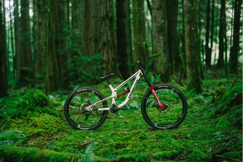 Transition TR11 Alloy DH MTB Downhill Frame Set White-2