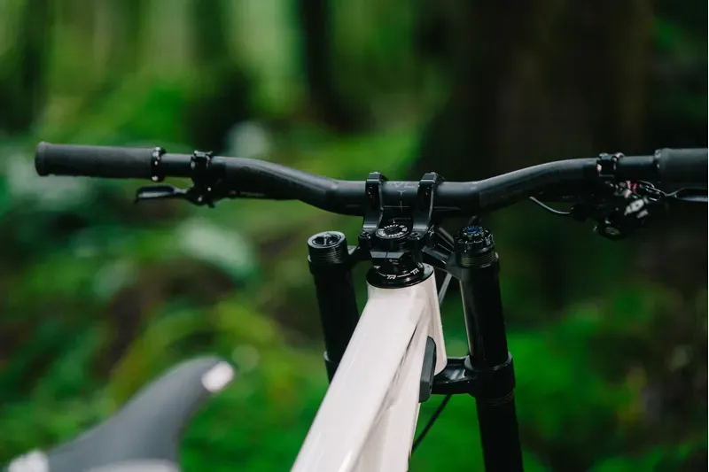 Transition TR11 Alloy DH MTB Downhill Frame Set White-5