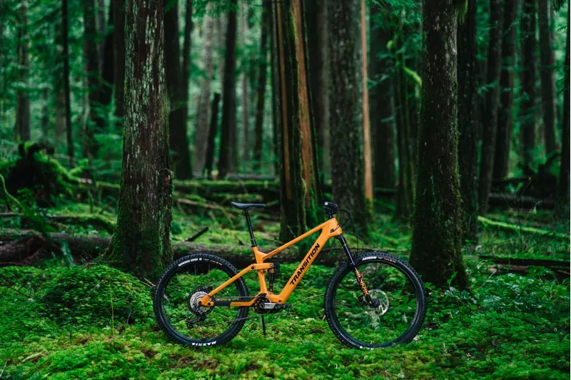 Transition Regulator SX Carbon Deore eMountain Bike in Madrone Gold-2
